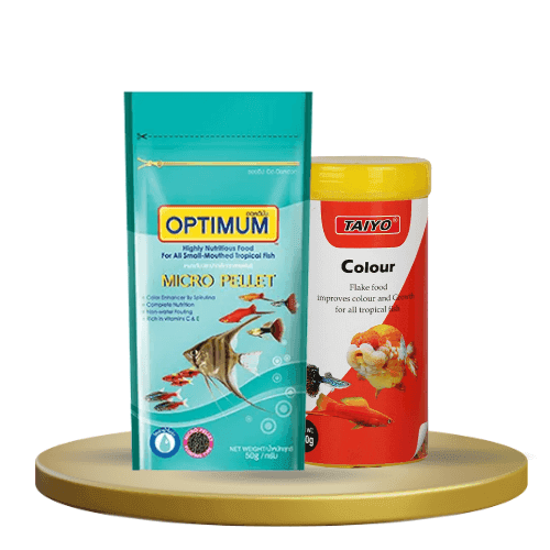 Fish Food