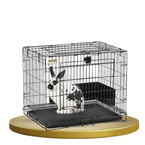 Rabbit Cage