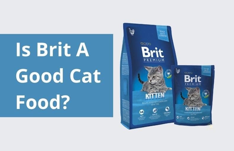Is Brit A Good Cat Food?