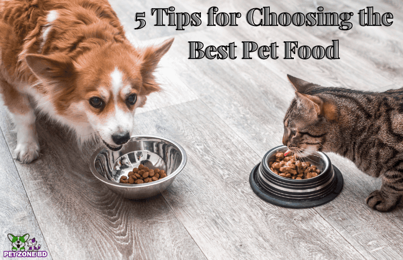 5 Tips for Choosing the Best Pet Food