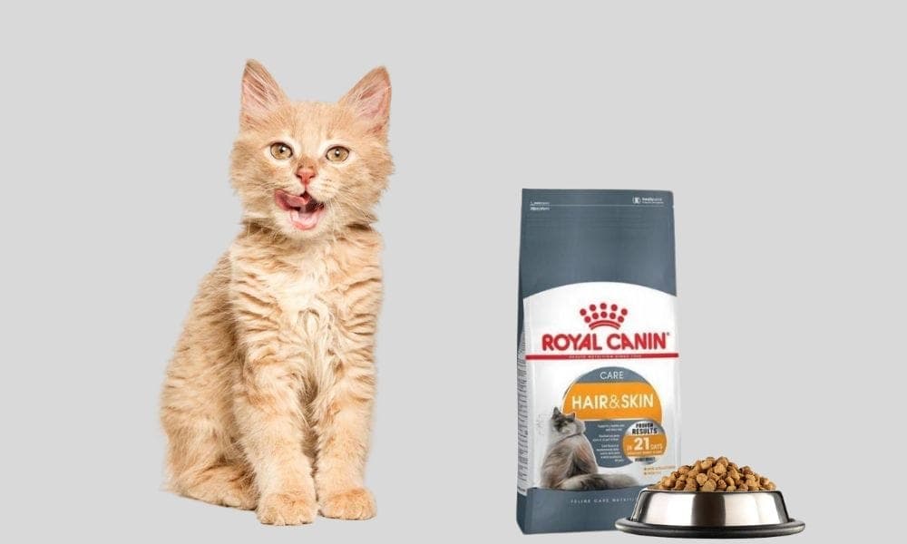 Royal Canin Cat Food Price in Bangladesh