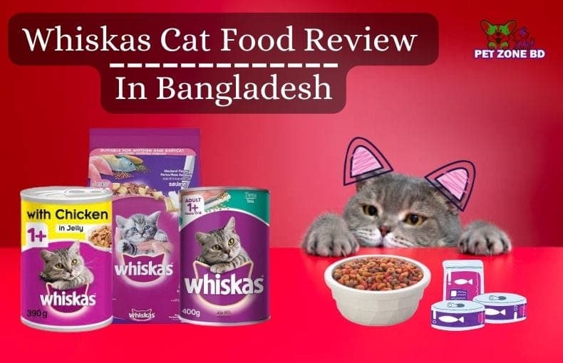 Whiskas Cat Food Review in Bangladesh