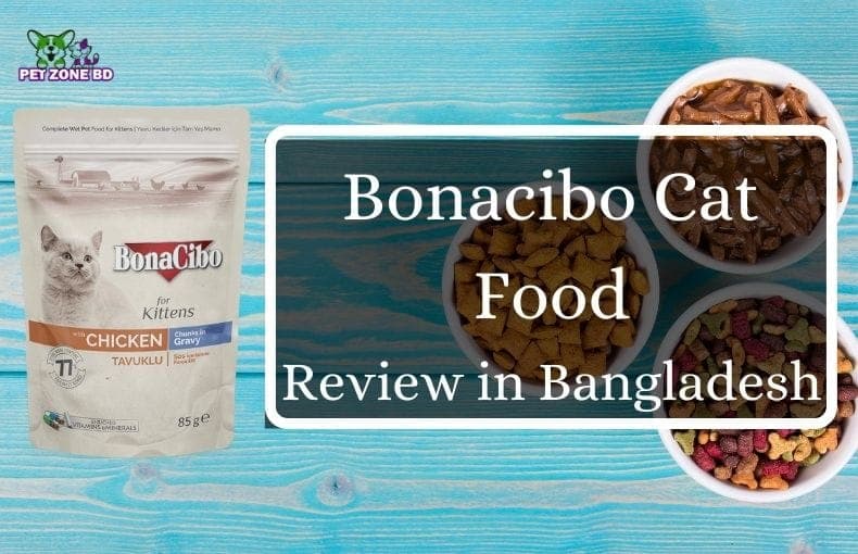 Bonacibo Cat Food Review in Bangladesh