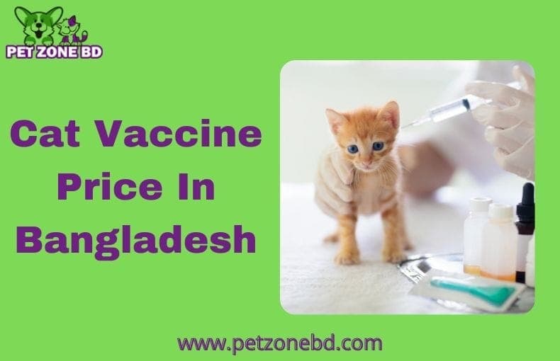Cat Vaccine Price In Bangladesh