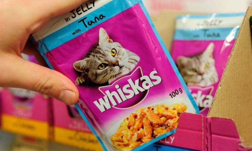 Whiskas cat food price in bangladesh