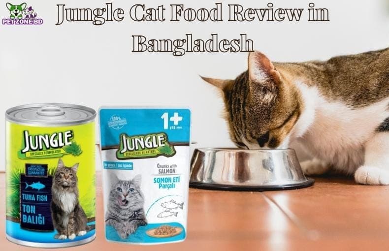 Jungle Cat Food Review in Bangladesh