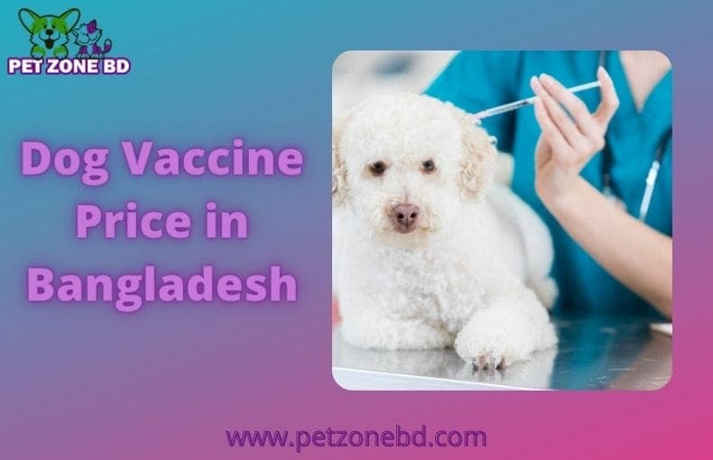 Dog Vaccine Price In Bangladesh