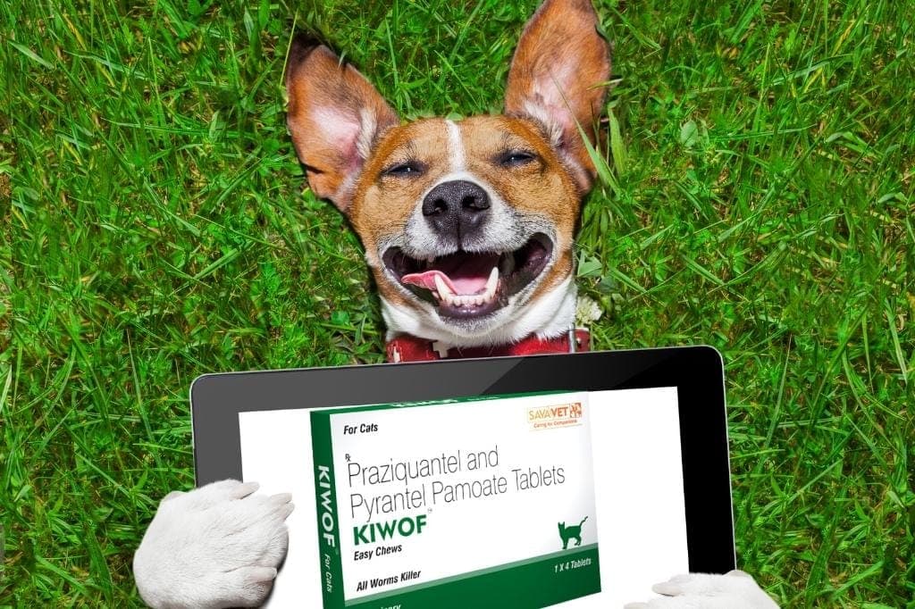 Kiwof Tablet for Cat and Dog