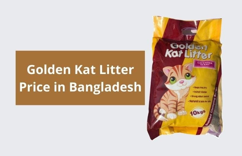 Golden Kat Litter Price in Bangladesh