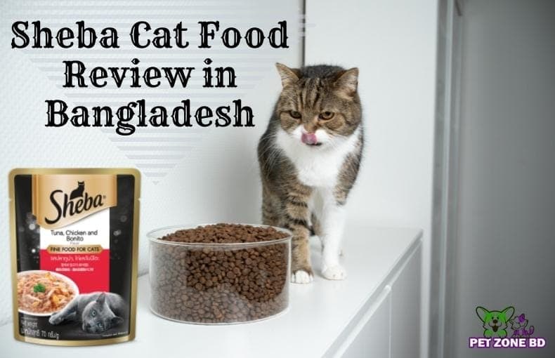 Sheba Cat Food Review in Bangladesh