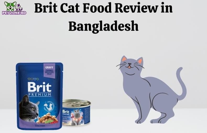 Brit Cat Food Review in Bangladesh