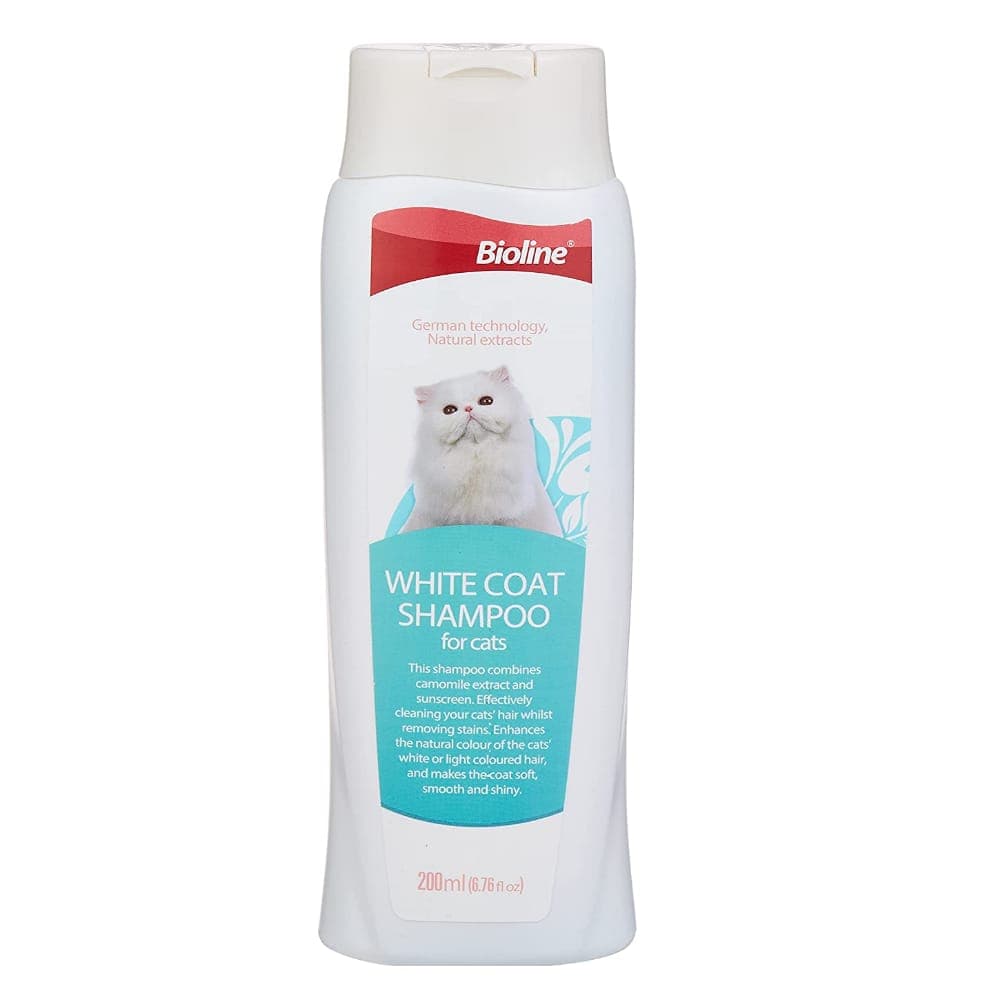 cat-shampoo