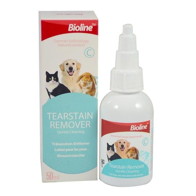 cat-care-health