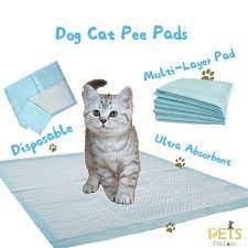 cat-training