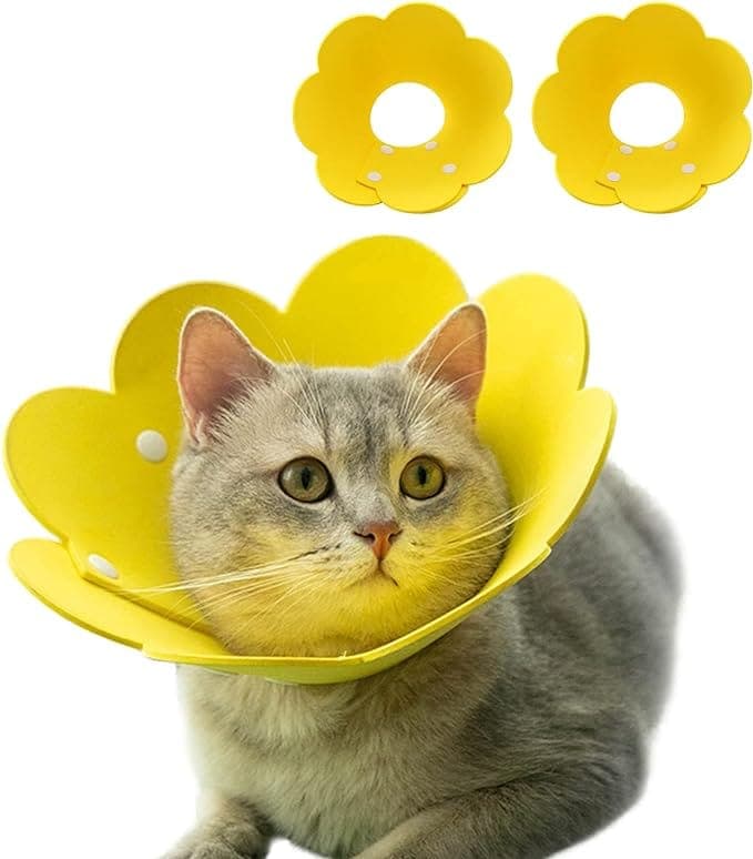 cat-collar