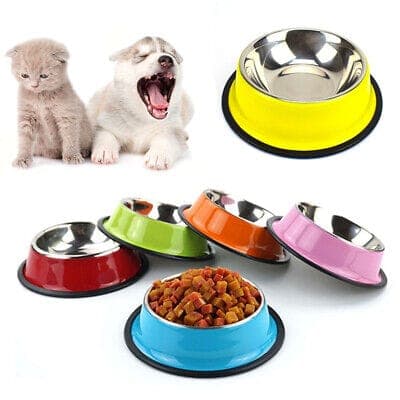 cat-food-bowl