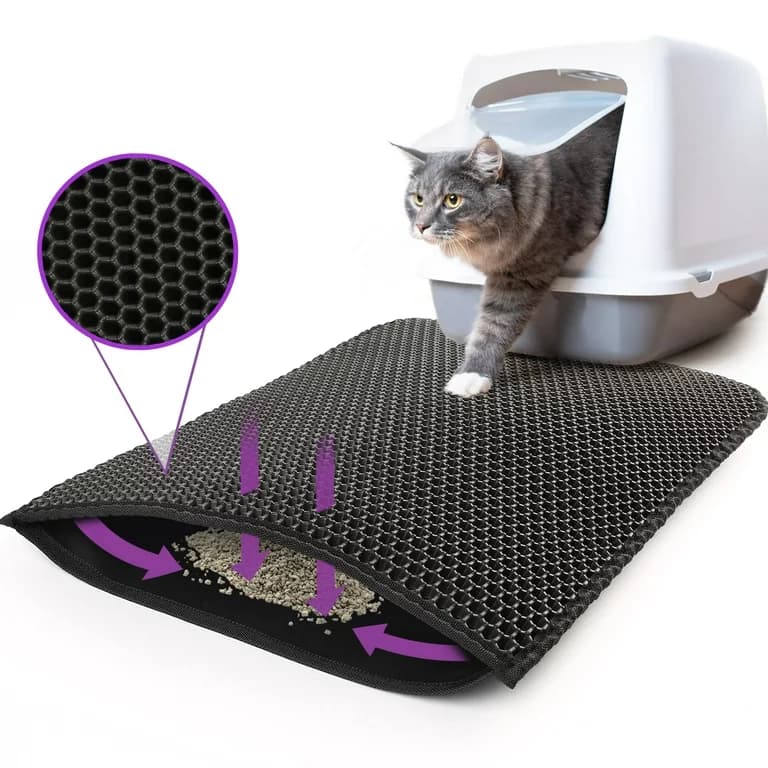 cat-litter-box