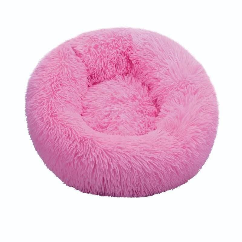 cat-bed