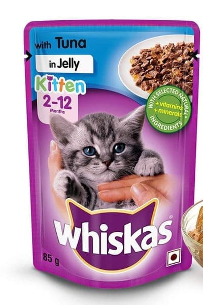 kitten-food